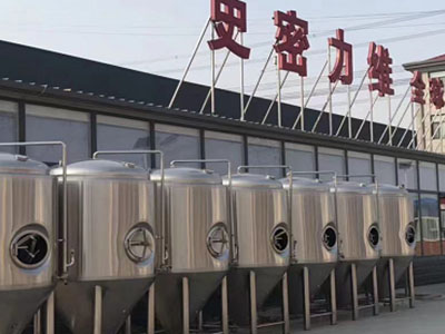 长葛精酿啤酒设备厂—如何判断精酿啤酒设备的密封件需要更换？